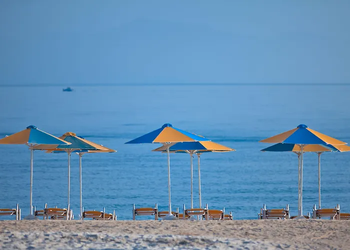 Platanista Miasto Kos